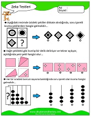 Zeka Gelişim Testleri